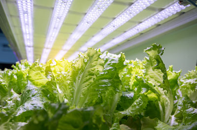 LED照明應用